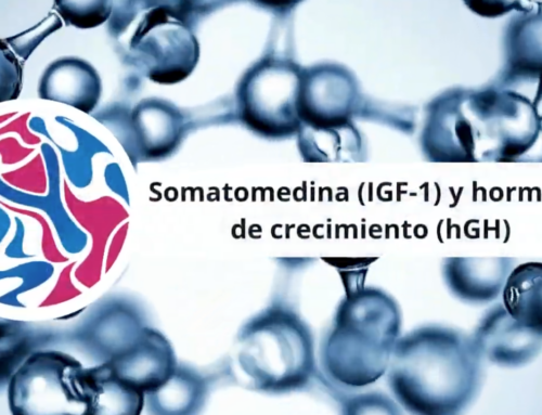 Somatomedina (IGF-1) y Hormona de Crecimiento (hGH)